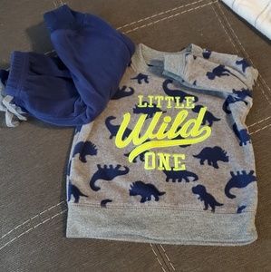 Carter's 0-3 Little Wild One outfit